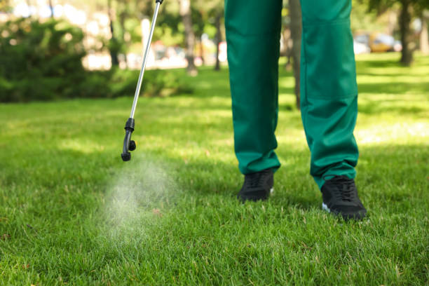 Pest Control for Restaurants in Watauga, TX