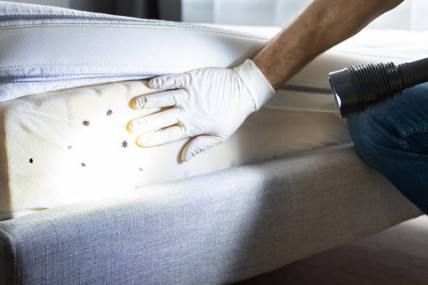 Best Pest Control for Restaurants  in Watauga, TX