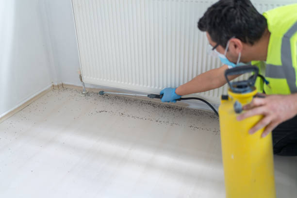 Best Flea Control Services  in Watauga, TX